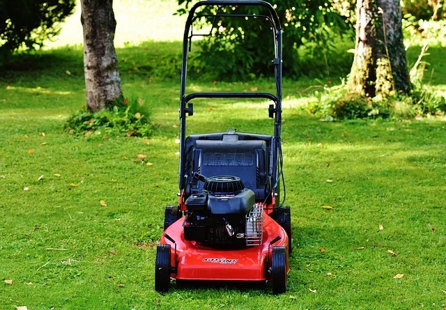 Best Lawn Mower Reviews Consumer Reports