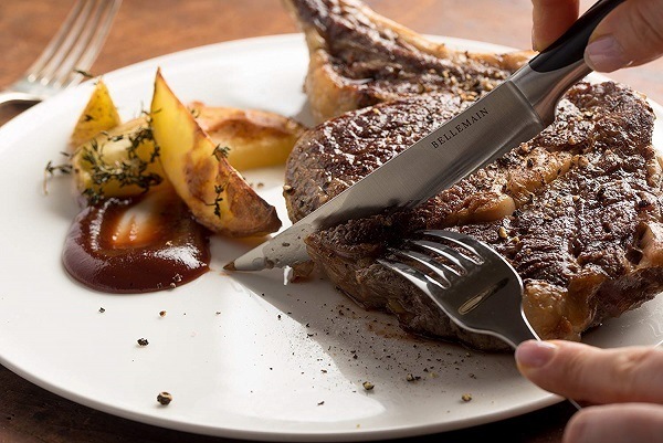 best steak knives consumer report