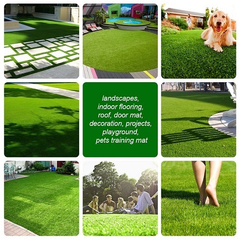 Best Artificial Grass Reviews Consumer Reports