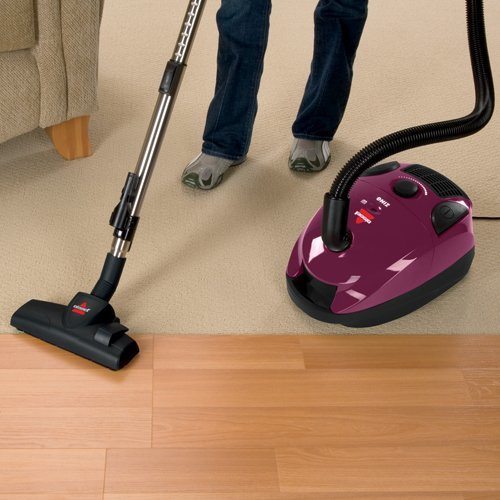 best canister vacuum consumer report