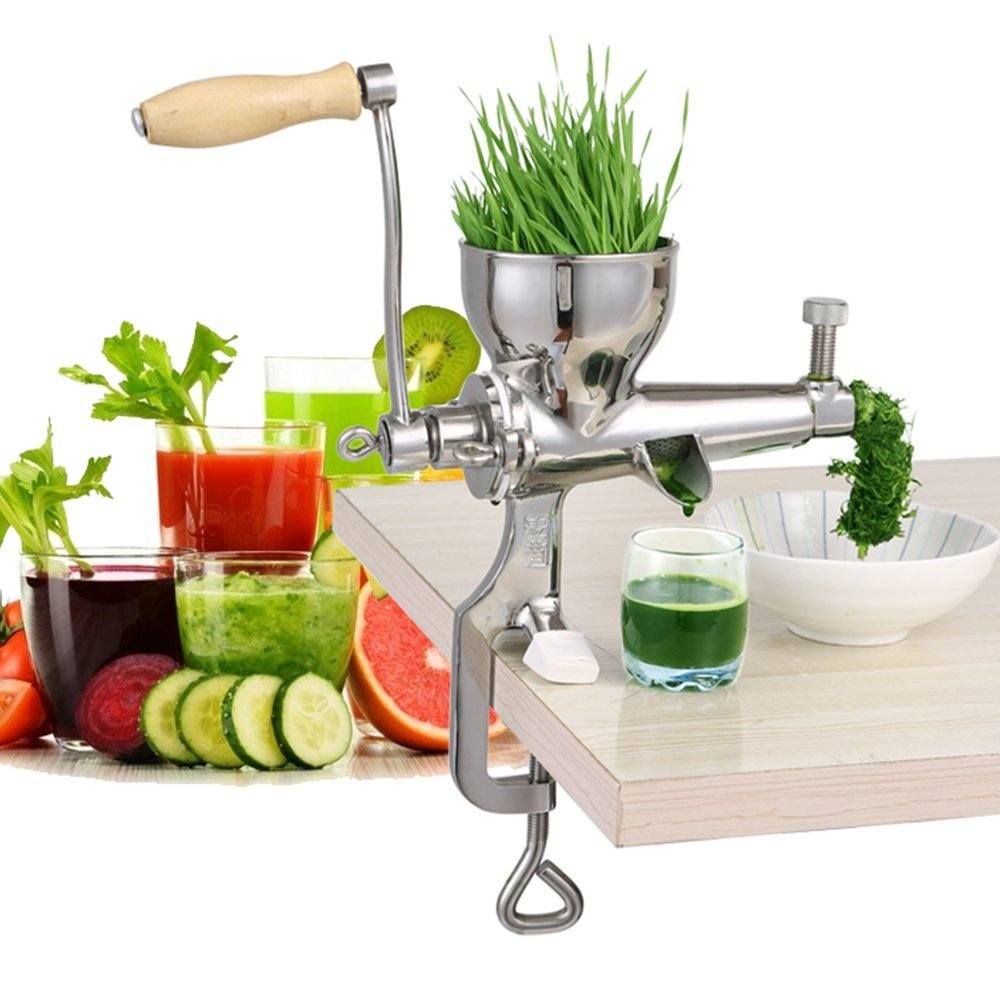 Best Wheatgrass Juicer Reviews Consumer Reports