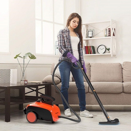 best steam cleaner reviews consumer report