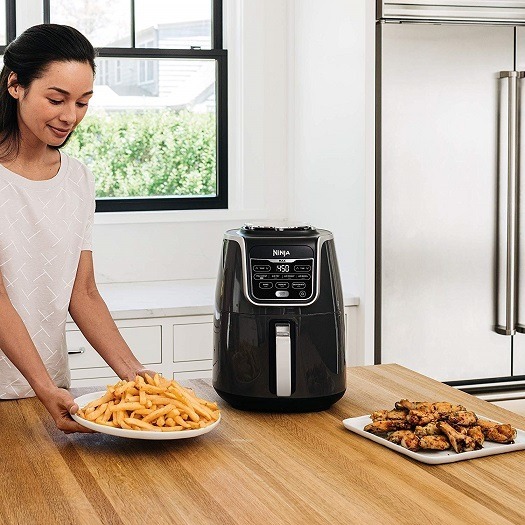 best deep fryer consumer report