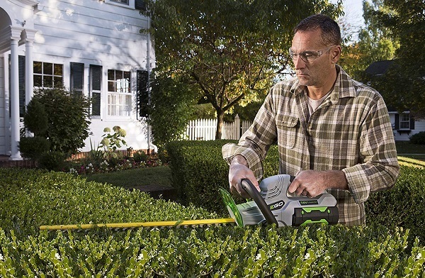 best hedge trimmer consumer report