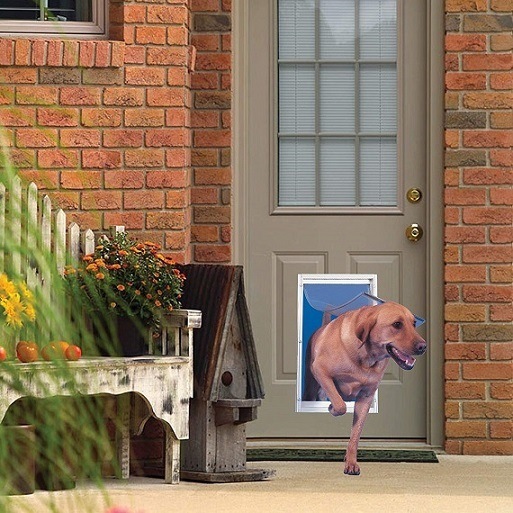 Best Dog Door Reviews Consumer Report