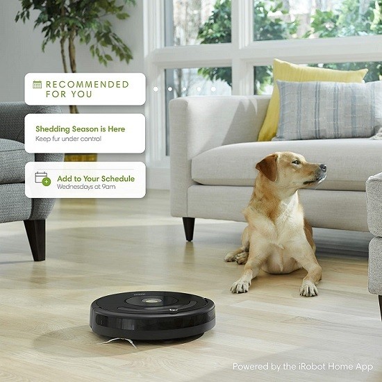 roomba reviews consumer reports