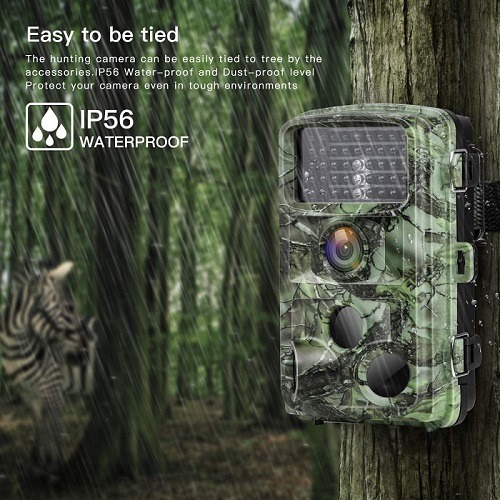 consumer reports trail cameras