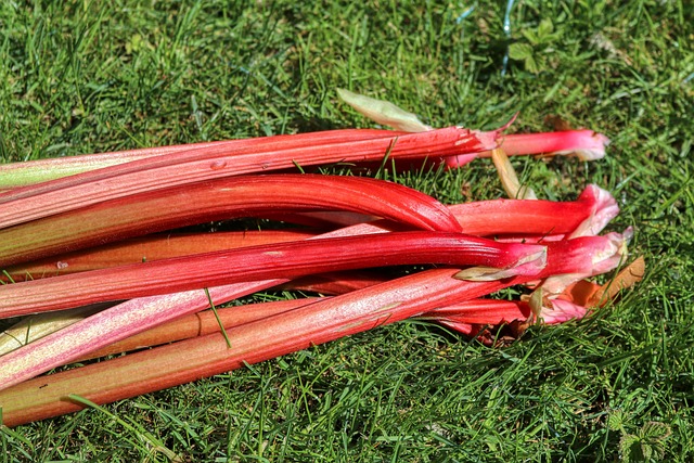 What Rhubarb Tastes Like